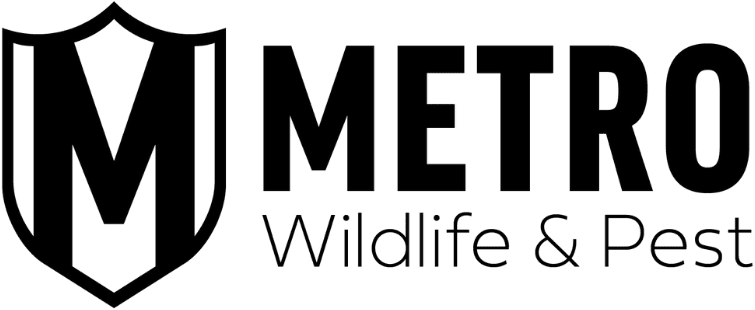 Metro Wildlife